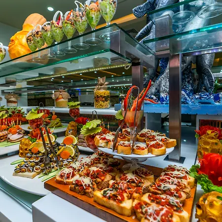 Primasol Hane Family シダ